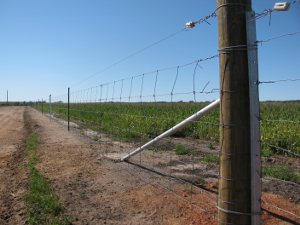 Wire farm fencing